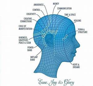 Bars Awakening Consciousness Levels Of Consciousness Money Control