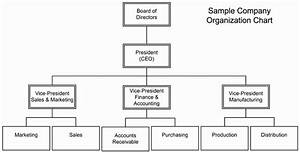 What Is The Different Forms Of Business Organizations Explain Each