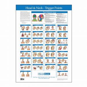 Trigger Point Chart Head And Neck Therapy Charts