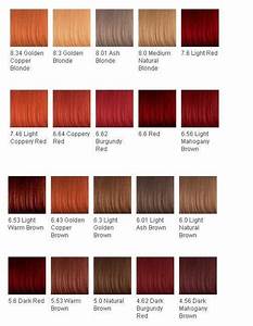 Image Result For Red Hair Color Shades Chart Red Hair Color Shades