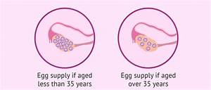 Female Egg Count By Age