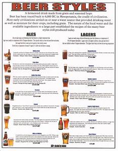  Styles Craft Bar Infographic Connoisseur