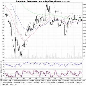 one year technical analysis chart of rupa and company rupa