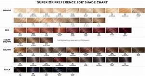 Pin By Russell Kaput On Hair Hair Color Chart Hair