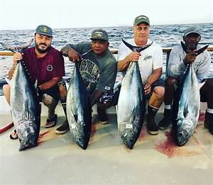 San Diego Fish Report Fish Report 16 Good Grade Bluefin Tuna July