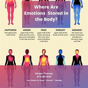 Emotions And The Body Harper Therapy