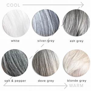 Let S Talk About Grey Hair Grey Hair Inspiration Grey Hair