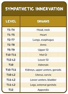 Viscerosomatics And Facilitation Osmosis