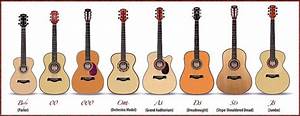 Graphic Body Size Comparison Best Acoustic Guitar Luthier Guitar