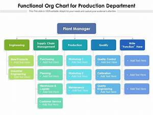 Functional Org Chart For Production Department Presentation Graphics