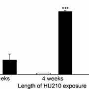 Bar Chart Showing The Percentage Of Motility In Control And Hu210