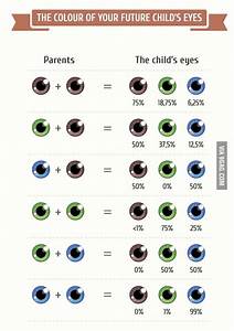 Percentage Of What Eye Color Your Children Will Have 9gag