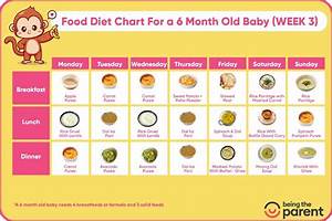 6 Month Baby Food What To Give What Not To Give And Sample Schedule