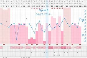 Confising Bbt Chart Rising Temps During And After Period The Bump