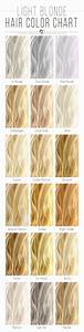  Hair Color Chart The Shades Kissed By The Sun Hair Chart