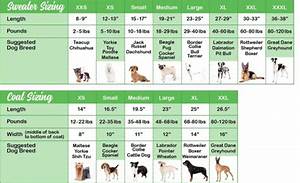 Sizing Chart Chilly Dog Sweaters