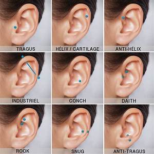 répertoire des piercing d 39 oreille les plus courants piercing daith