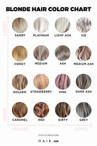 Use This Hair Color Chart To Find Your Best Shade Hair Com By
