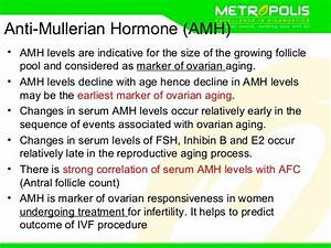 Anti Mullerian Hormone