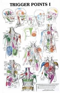 Trigger Points Chart Trigger Points Therapy Reflexology