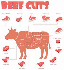 What You Should Look For When Buying Beef Circle L Ranch Burbank Ohio