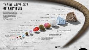 The Relative Size Of Particles
