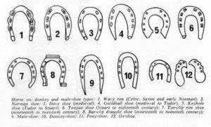 Horseshoes An Informational Guide Historical Surveys