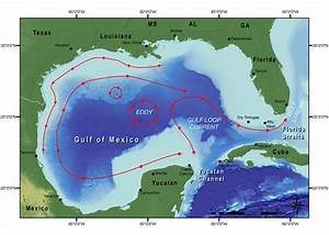 Noaa Ship Okeanos Explorer Gulf Of Mexico 2017 Mission Logs Gulf Of