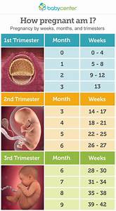 How Do You Count The Pregnancy Months Trimesters August 2019 Babies
