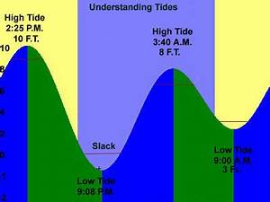 21 New York River Tide Chart