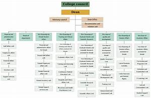 College Organizational Structure Majmaah University