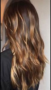 Honey Hair Color Color Your Hair Hair Color And Cut Honey Colored