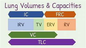 Lung Volumes And Capacities Youtube