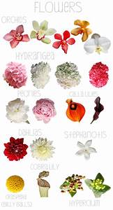 Flower Names