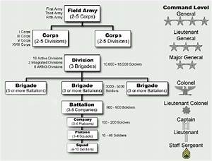 Organizational Chart Types Meaning And How It Works