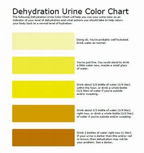 Urine Color Chart Whats Normal And When To See A Doctor Nurse Study