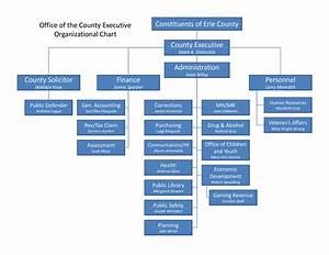 Organizational Chart Of Pharmaceutical Manufacturing Company