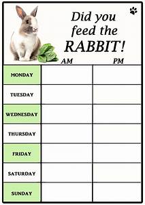Rabbit Feeding Chart Did You Feed The Rabbit Unique Dry Wipe