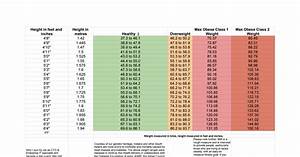 Acceptable Weight Ranges For South Asians Google Sheets