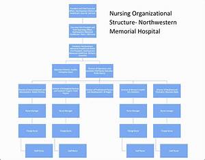 9 Hospital Organizational Chart Sampletemplatess Sampletemplatess