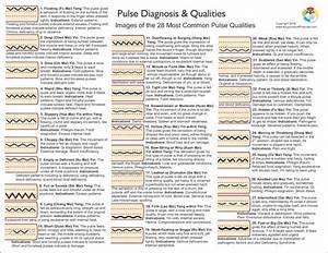 Pulse Diagnosis Chart 2nd Ed Clinical Charts And Supplies