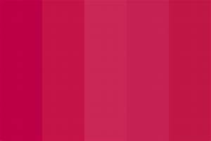 Shades Of Strawberry Color Palette