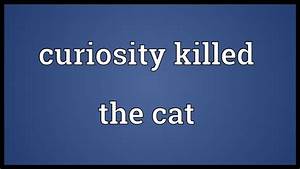 Curiosity Killed The Cat Meaning Youtube