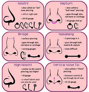 14 Piercing Charts You Wish You Knew About Sooner Piercing Chart