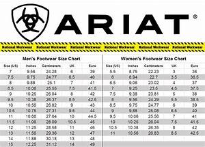 Ariat Women S Belt Size Chart Best Picture Of Chart Anyimage Org