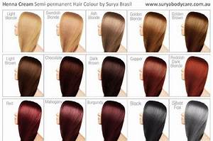 Download Redken Color Chart 06 Brown Hair Color Chart Brown Hair Color