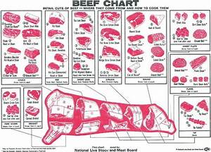 Butcher Meat Cuts Chart Beef Chart For The Health Of It Pinterest