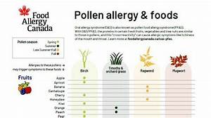 Mythbuster Can Food Allergy And Pollen Allergy Overlap Food