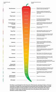 Easy Guide To The Scoville Heat Scale R Coolguides