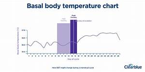 Basal Body Temperature Definition And Charts Clearblue